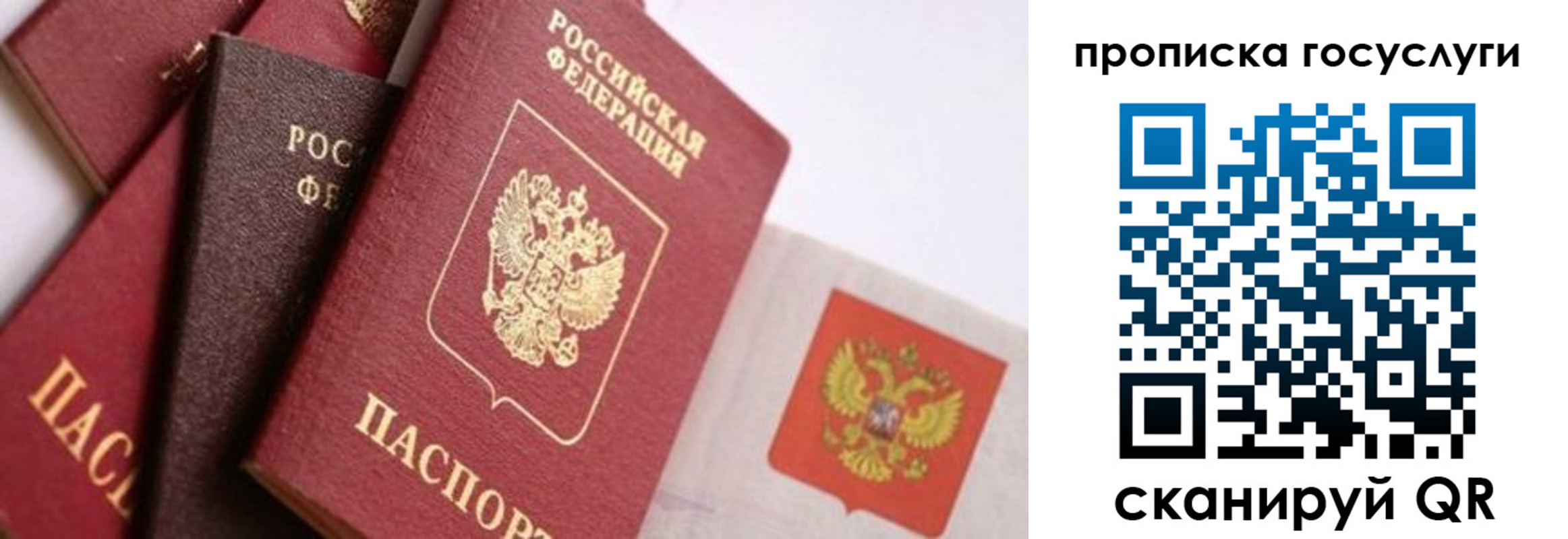прописка законно в Похвистнево